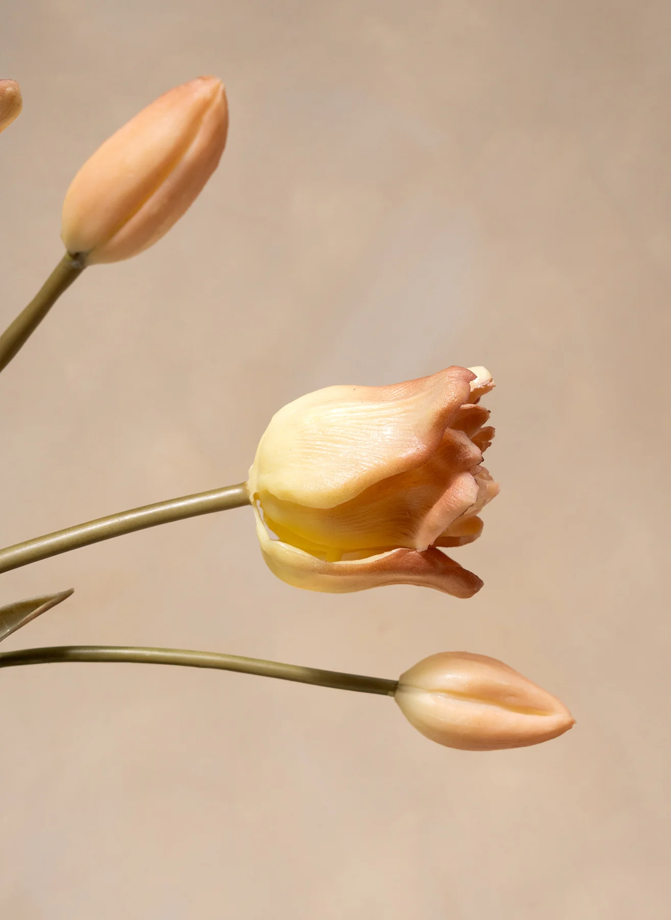 Miniatuur 2