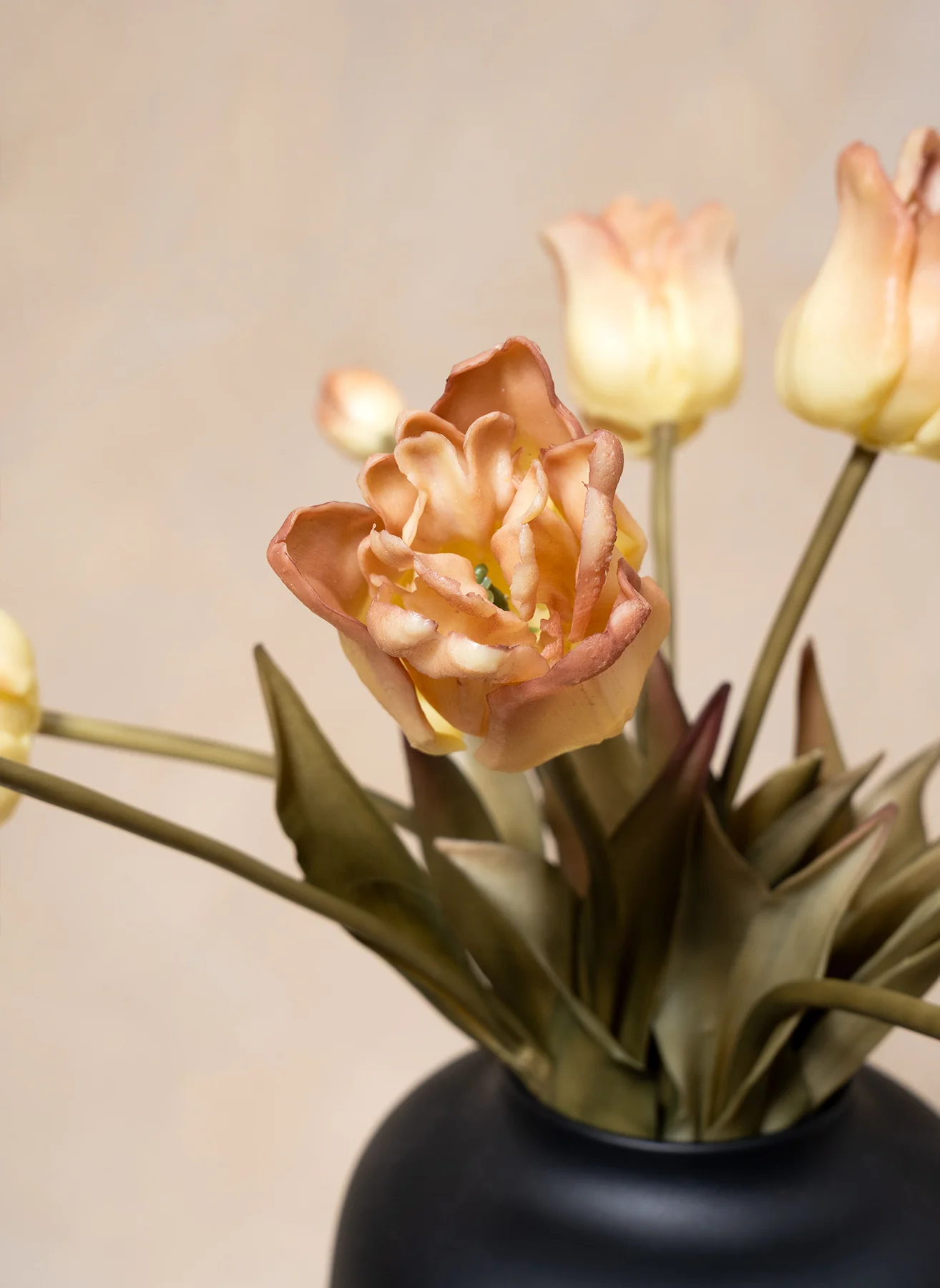 Papegaai Tulpen - Koffie - Image 3