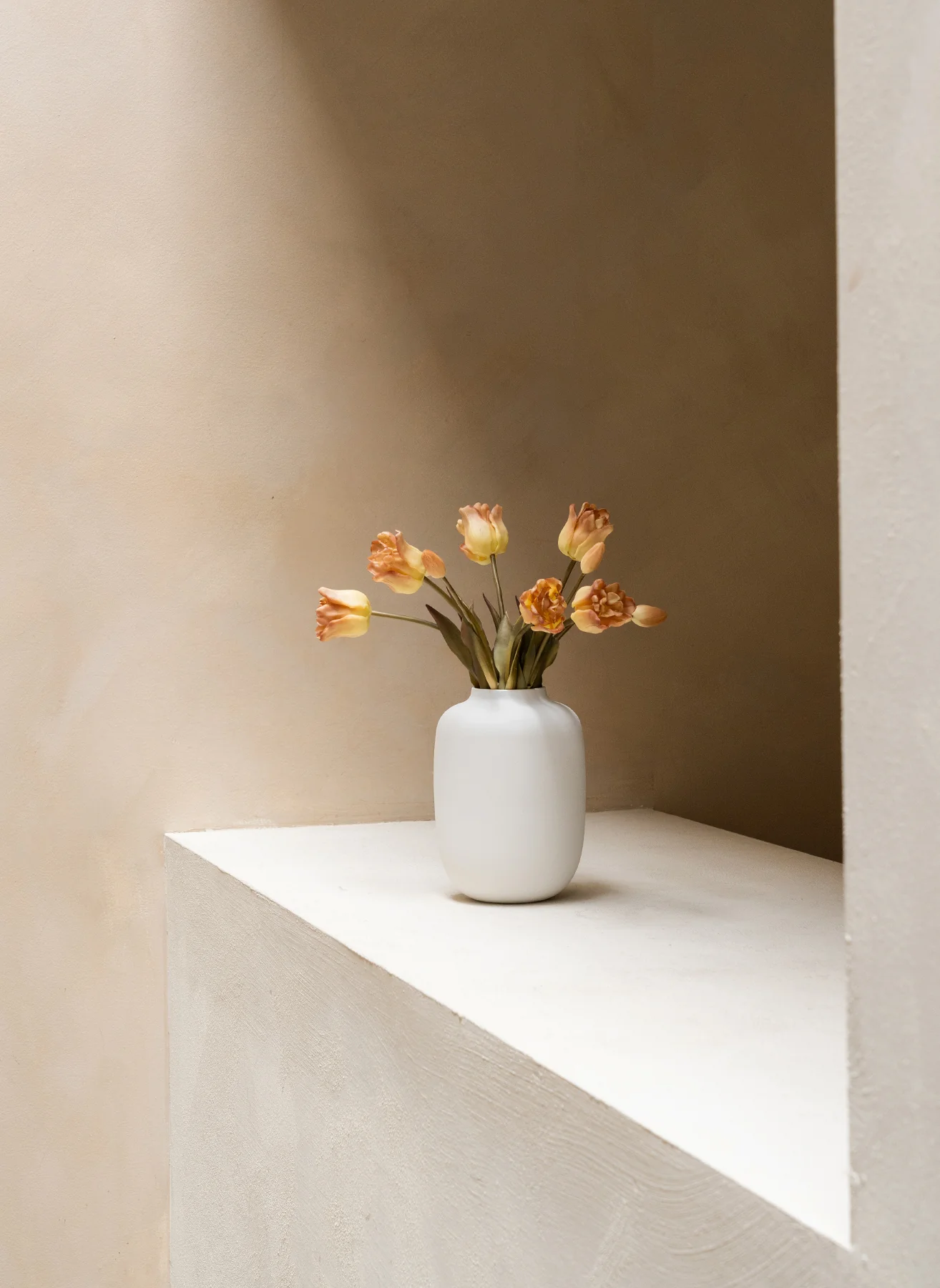 Papegaai Tulpen - Koffie - Image 4