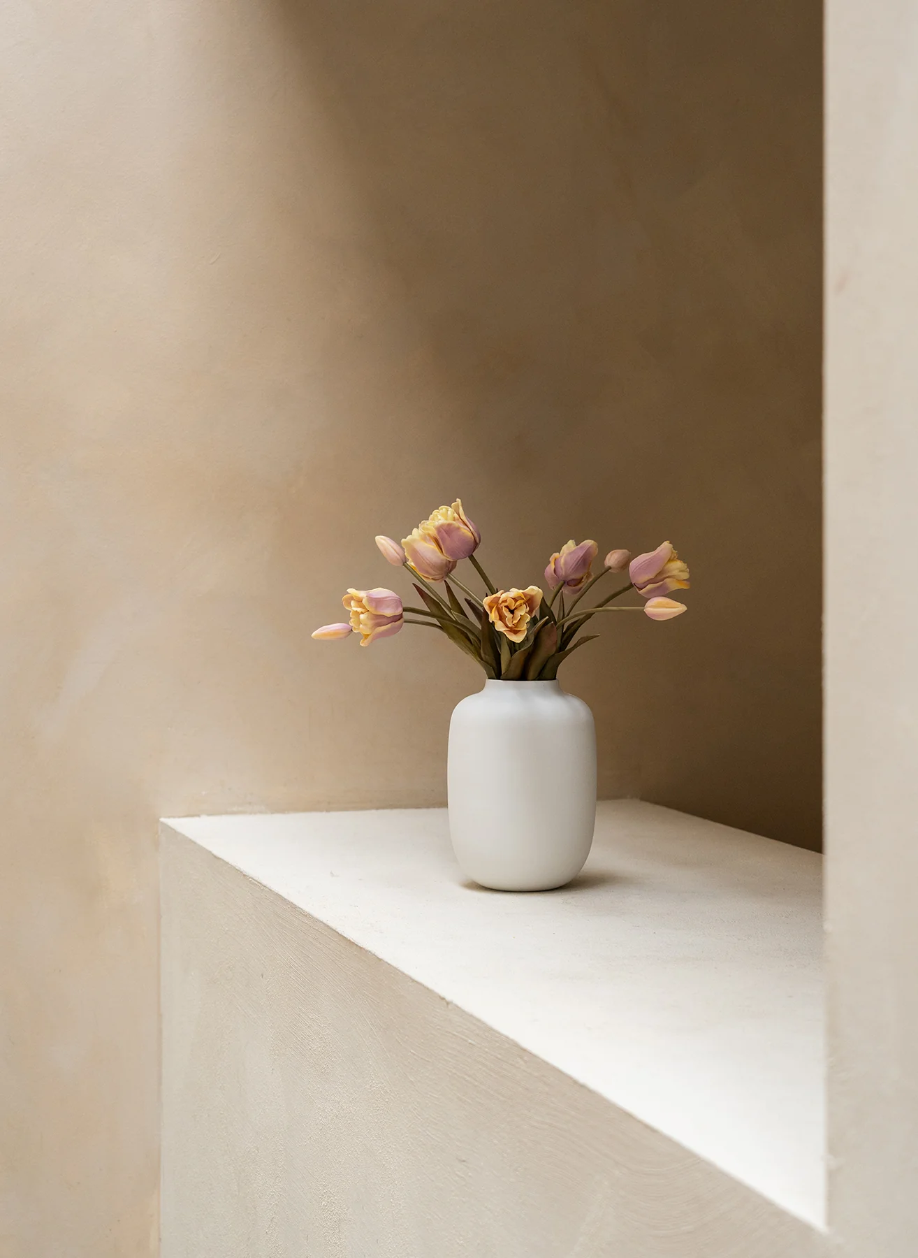 Papegaai Tulpen - Violet - Image 4