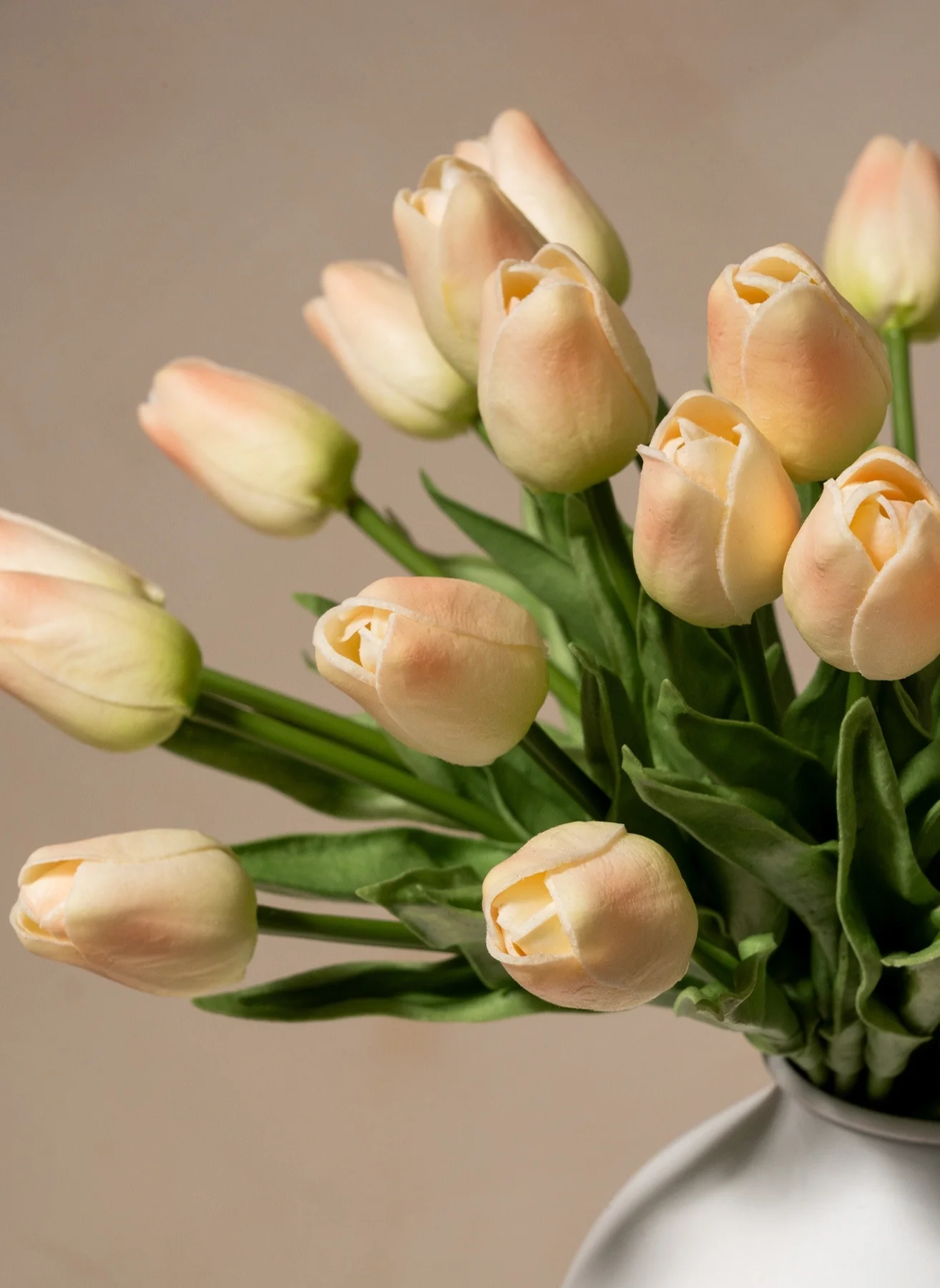Tulpen Boeket - Oud Roze (25 stengels) - Image 5