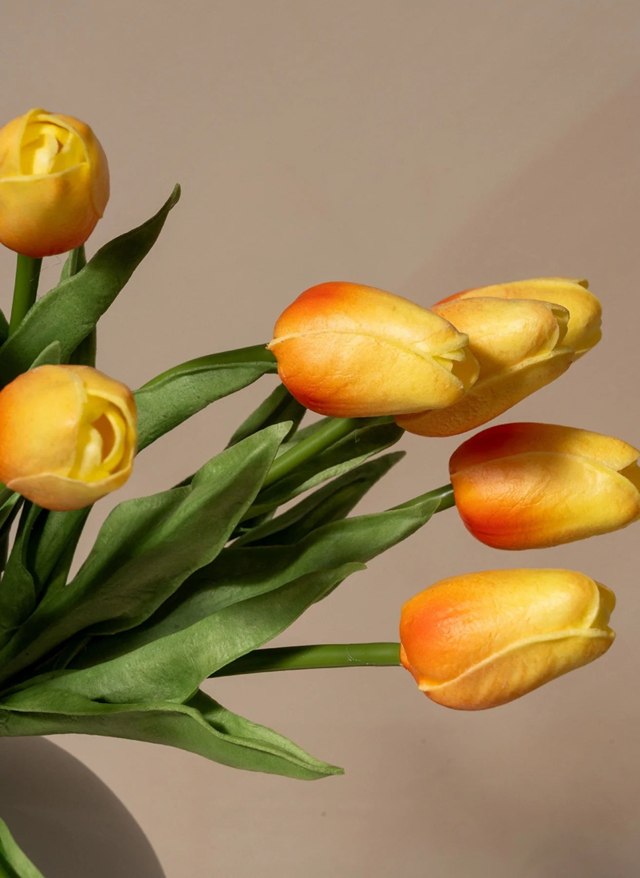 Miniatuur 2