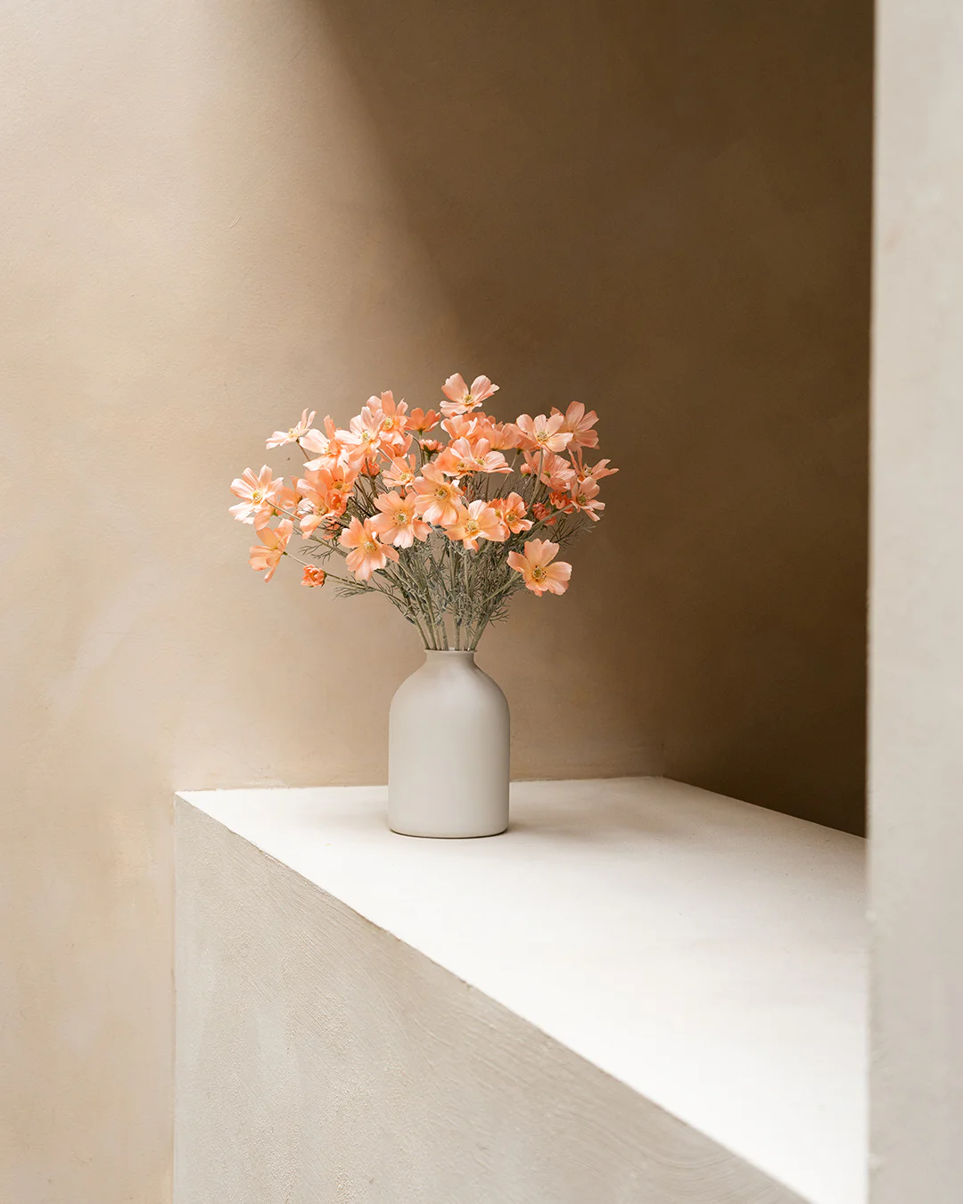 Zijden Madeliefjes (10 stengels) - Peach - Image 3