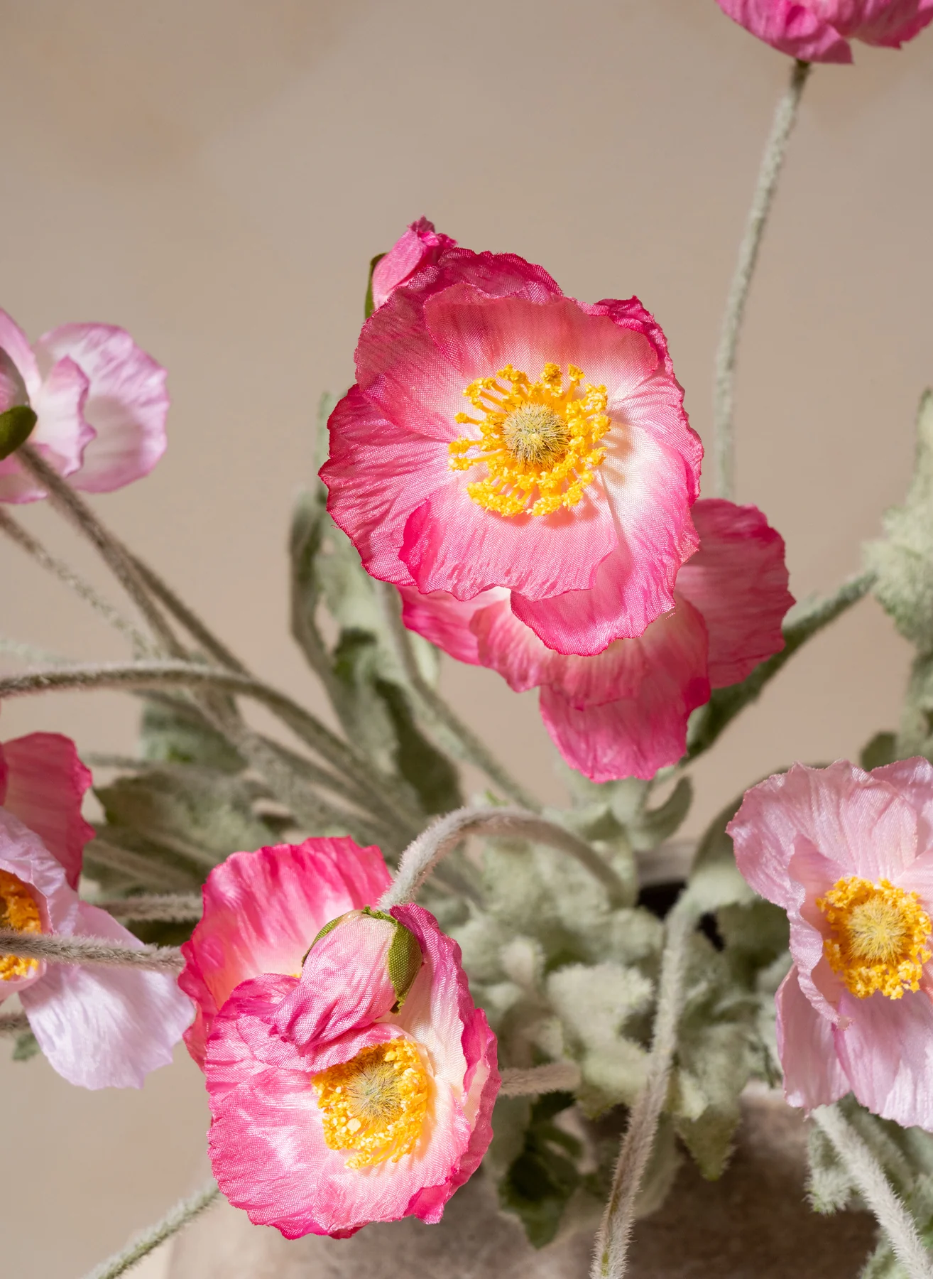 Miniatuur 2
